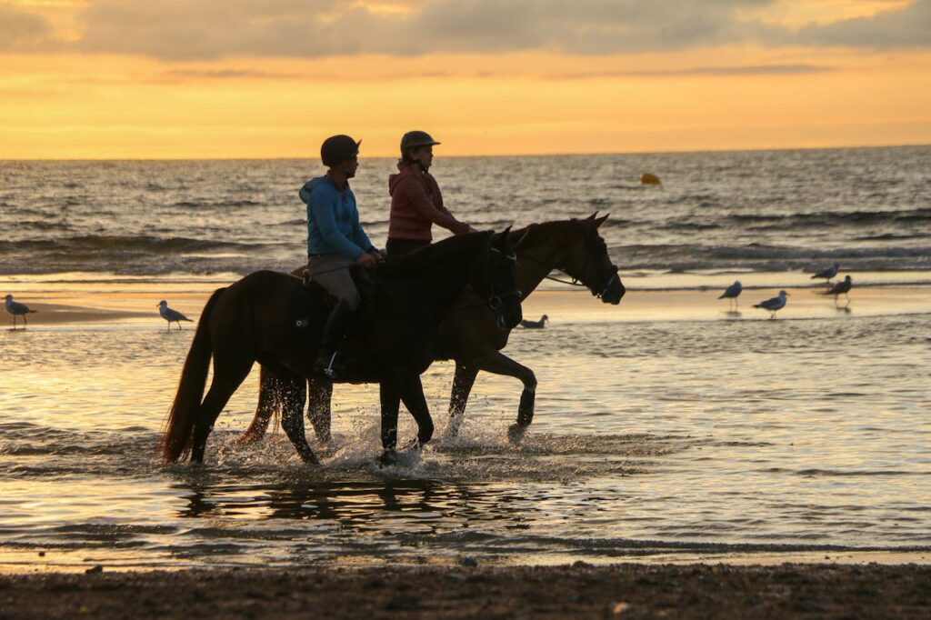 Passeio a Cavalo